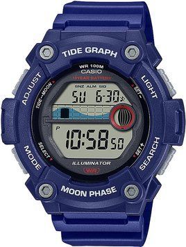 Годинник Casio WS-1300H-2AVEF 302880 фото