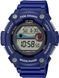 Годинник Casio WS-1300H-2AVEF 302880 фото